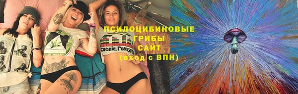 бошки Инсар