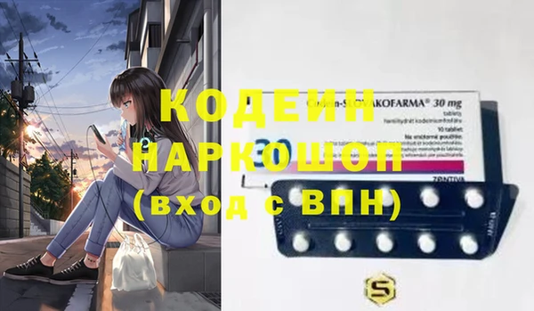 гашик Инта