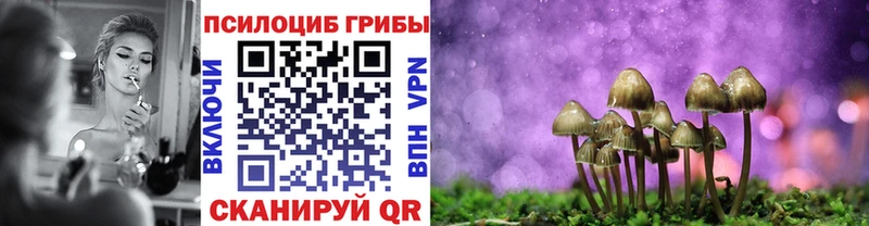это клад Хадыженск Галлюциногенные грибы Psilocybe где продают наркотики